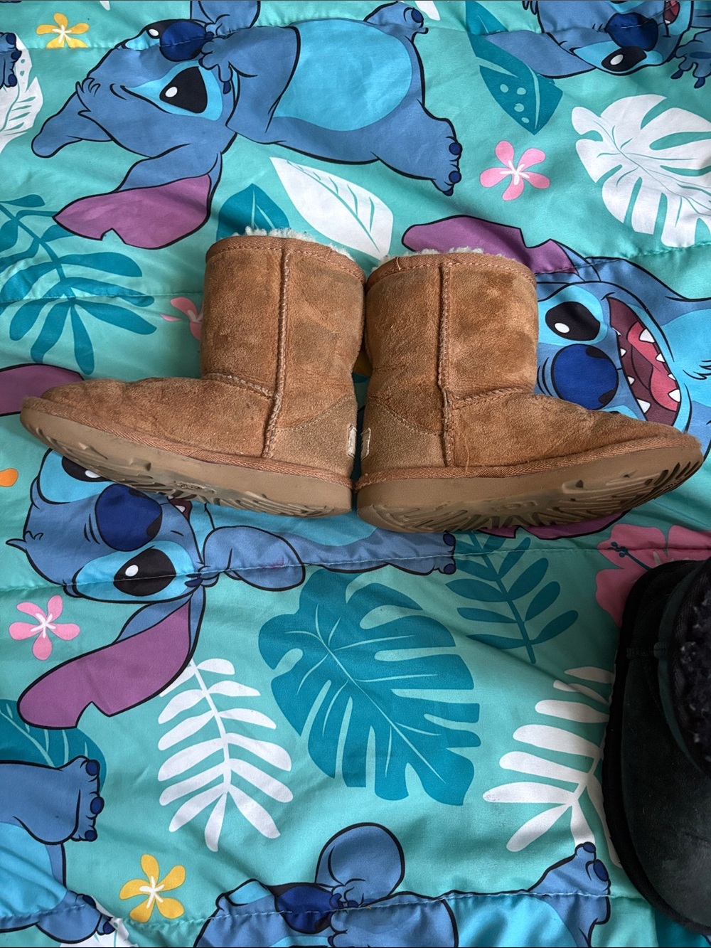 UGG Classic Short Boots - Chestnut and Black Pairs - Picture 3 of 16